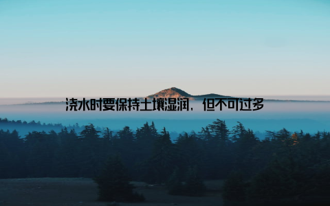 浇水时要保持土壤湿润, 但不可过多