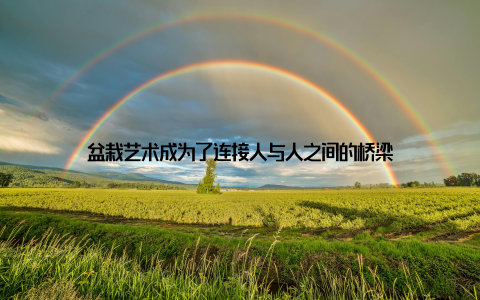 盆栽艺术成为了连接人与人之间的桥梁