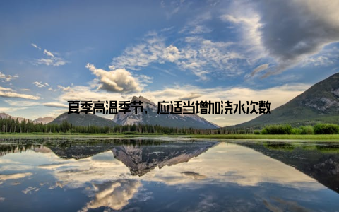 夏季高温季节, 应适当增加浇水次数