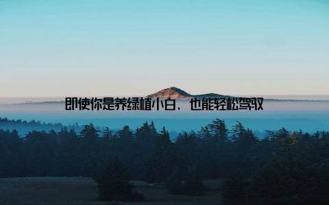 即使你是养绿植小白, 也能轻松驾驭