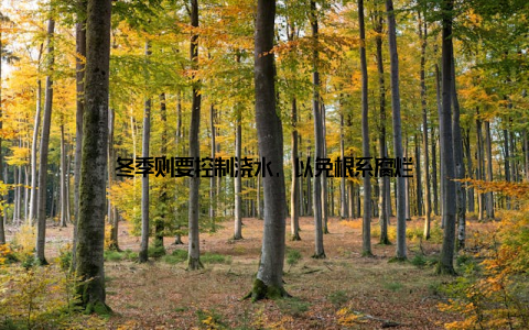 冬季则要控制浇水, 以免根系腐烂