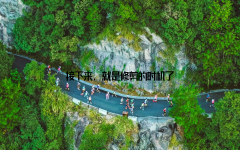 接下来, 就是修剪的时机了