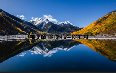 施肥是保证植物健康生长的关键