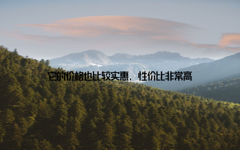 它的价格也比较实惠, 性价比非常高