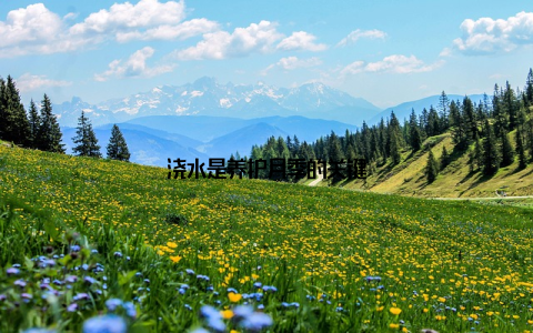 浇水是养护月季的关键