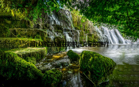 可以将它放置在散射光充足的地方