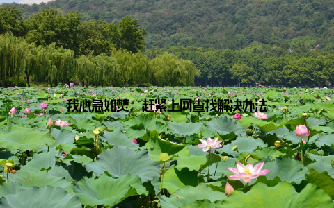 我心急如焚, 赶紧上网查找解决办法