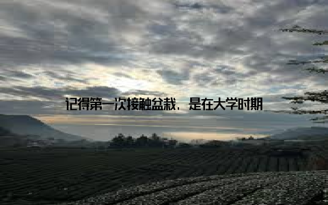 记得第一次接触盆栽, 是在大学时期