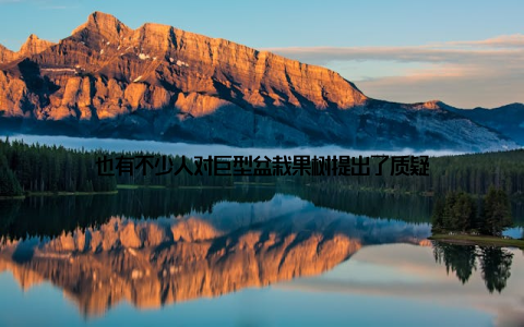 也有不少人对巨型盆栽果树提出了质疑