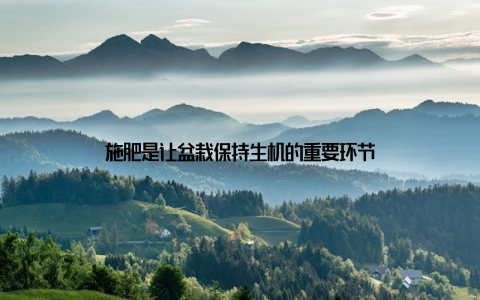 施肥是让盆栽保持生机的重要环节