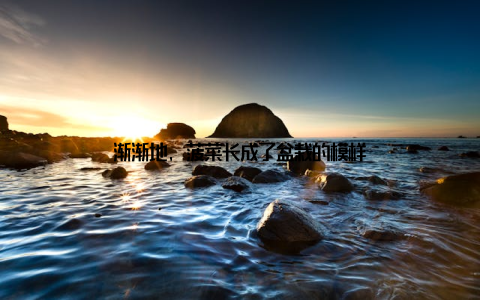 渐渐地, 菠菜长成了盆栽的模样