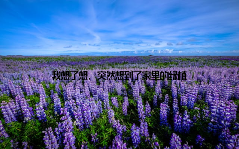 我想了想, 突然想到了家里的绿植