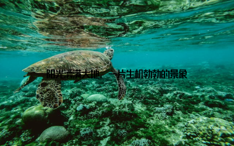 阳光洒满大地, 一片生机勃勃的景象