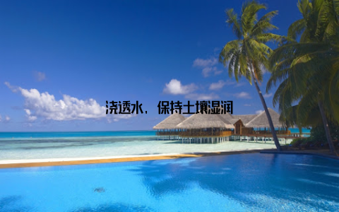 浇透水, 保持土壤湿润