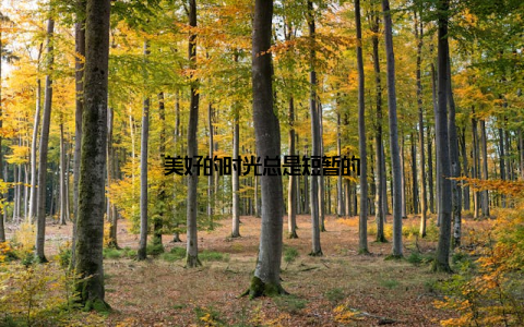 美好的时光总是短暂的