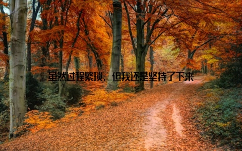 虽然过程繁琐, 但我还是坚持了下来