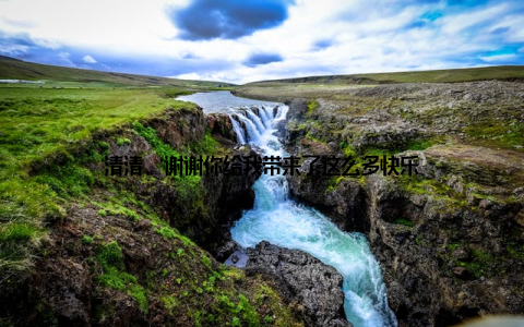 清清, 谢谢你给我带来了这么多快乐