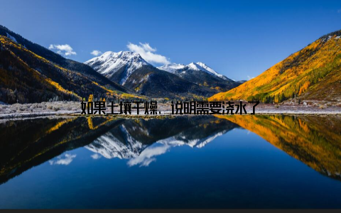 如果土壤干燥, 说明需要浇水了