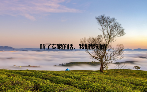 听了专家的话, 我如梦初醒