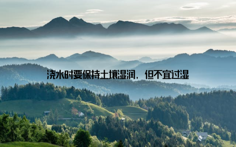 浇水时要保持土壤湿润, 但不宜过湿