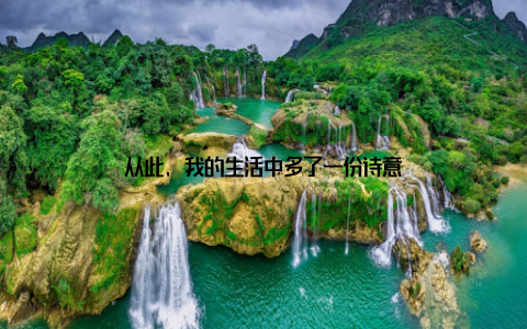 从此, 我的生活中多了一份诗意