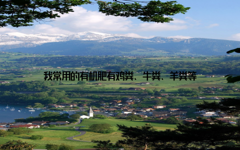 我常用的有机肥有鸡粪、牛粪、羊粪等