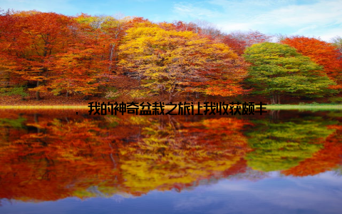 , 我的神奇盆栽之旅让我收获颇丰