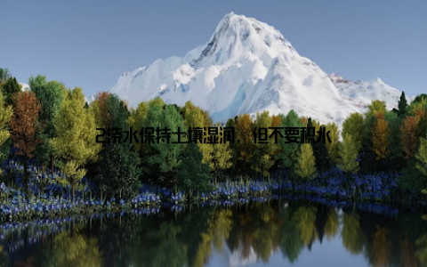 2浇水保持土壤湿润, 但不要积水