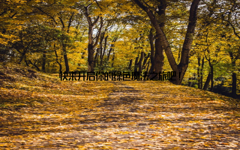 快来开启你的绿色魔法之旅吧!