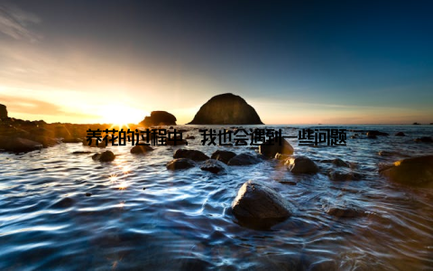 养花的过程中, 我也会遇到一些问题