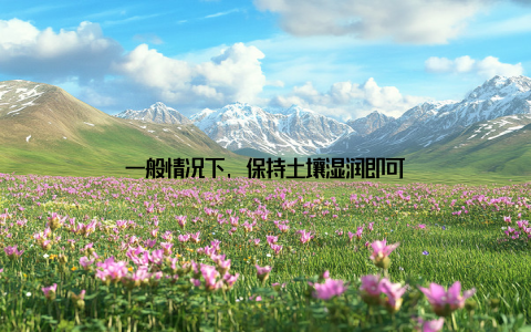 一般情况下, 保持土壤湿润即可