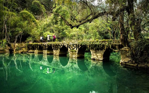 要根据盆栽的生长习性来调整浇水频率