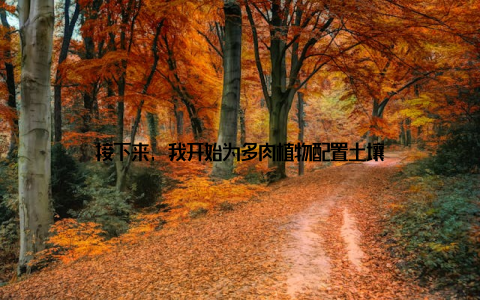 接下来, 我开始为多肉植物配置土壤