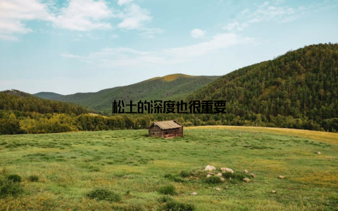 松土的深度也很重要