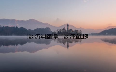 浇水万年松耐旱, 浇水不宜过多