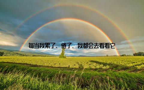 每当我累了、倦了, 我都会去看看它