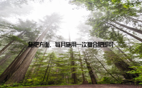 施肥方面, 每月施用一次复合肥即可