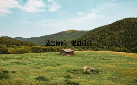 适当修剪, 促进开花