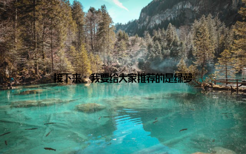 接下来, 我要给大家推荐的是绿萝