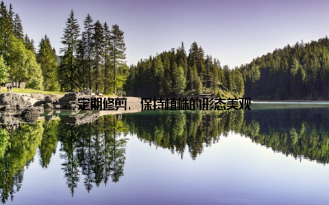 定期修剪, 保持植株的形态美观