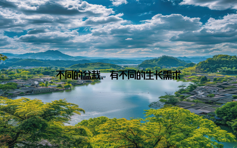 不同的盆栽, 有不同的生长需求