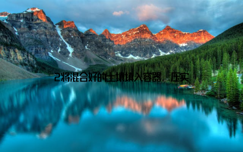 2将混合好的土壤填入容器, 压实