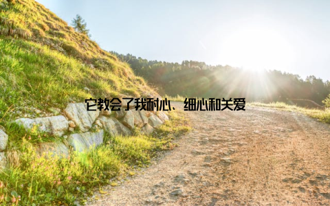 它教会了我耐心、细心和关爱