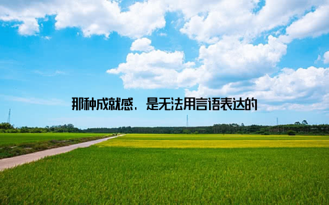 那种成就感, 是无法用言语表达的