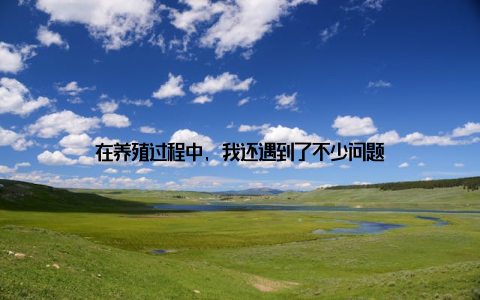 在养殖过程中, 我还遇到了不少问题