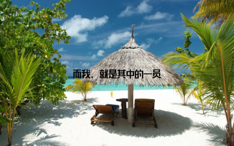 而我, 就是其中的一员