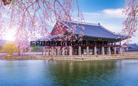 应将植株放置在散射光充足的地方