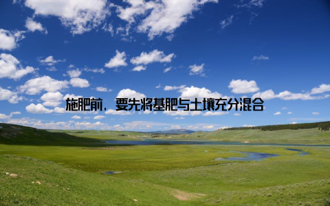 施肥前, 要先将基肥与土壤充分混合