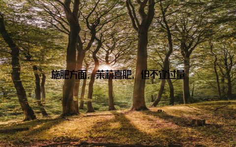 施肥方面, 茉莉喜肥, 但不宜过量