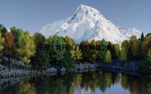 于是, 我开始了我的种植之旅